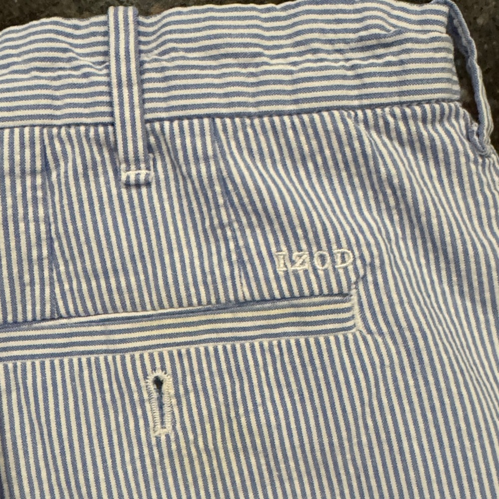 Izod Men's Blue and White Striped Shorts - Picture 4 of 7